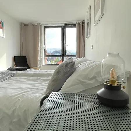 Penthouse W/ Parking Sheffield